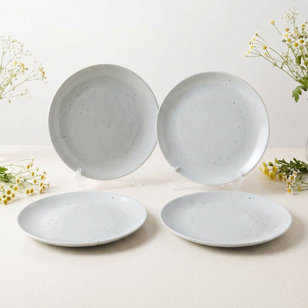 JCPL Fine Porcelain 10.5" Dinner Plates for family of 4 Solid Matte Finish, (4 Pieces)