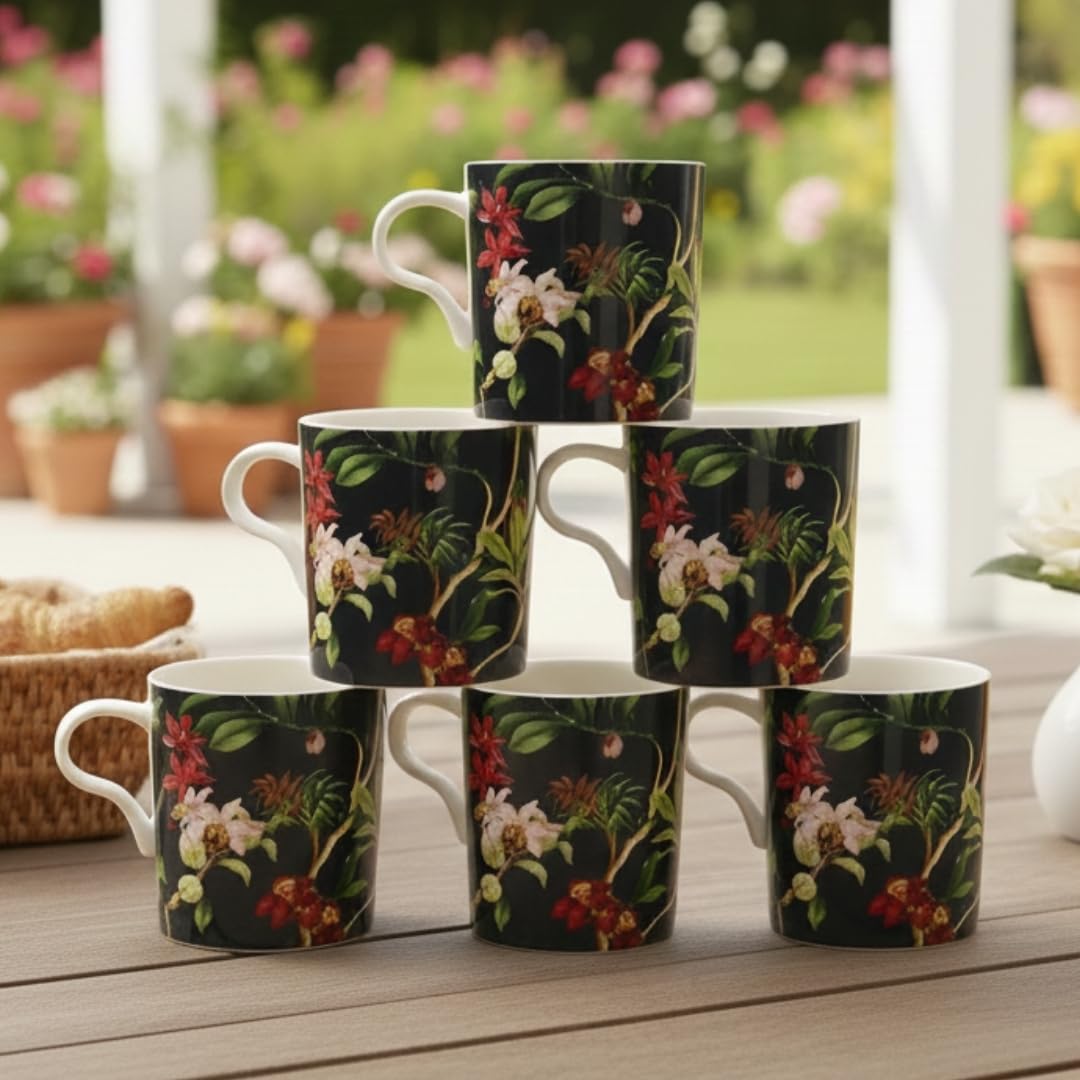 JCPL Louis Ebok Coffee & Tea Mugs Set of 6, 180 ml (ES302)