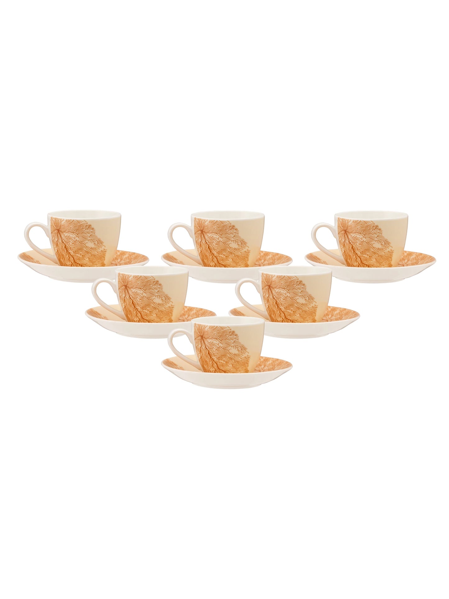 JCPL Cream Vanilla Cup & Saucer, 170ml, Set of 12 (6 Cups + 6 Saucers) (V414)