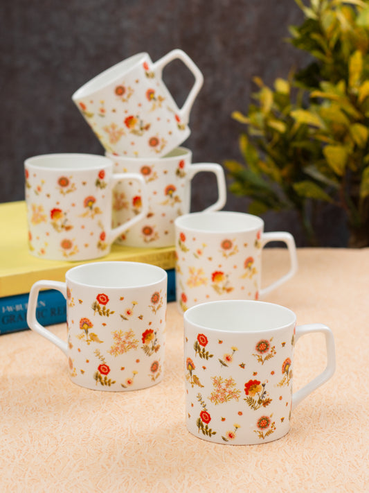 JCPL Director Hilton Coffee & Tea Mug Set of 6 (342)