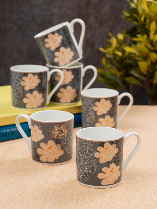 JCPL Melon Hilton Coffee & Tea Mug Set of 6 (351)