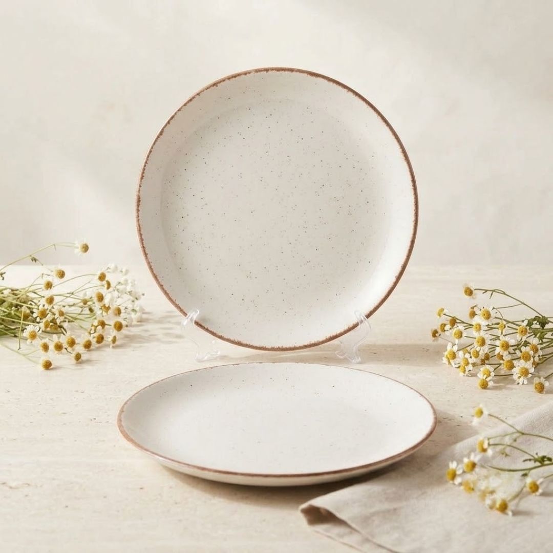 JCPL Fine Porcelain 10.5" Dinner Plates for family of 4 Solid Matte Finish, (4 Pieces)