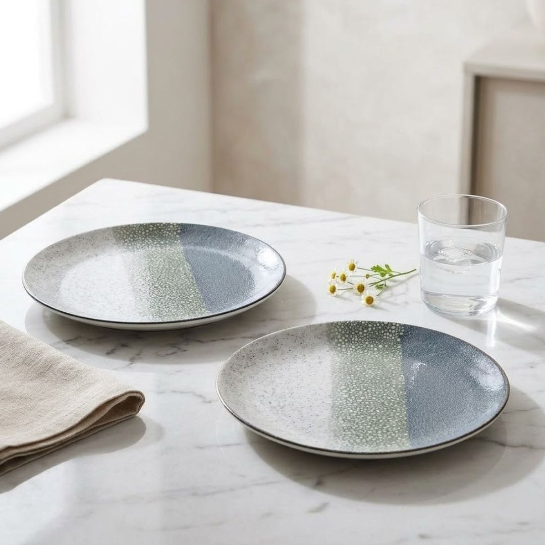 JCPL Fine Porcelain 10.5" Dinner Plates Set for Family of 4 Coral Textures Glossy Finish, (4 Pieces)