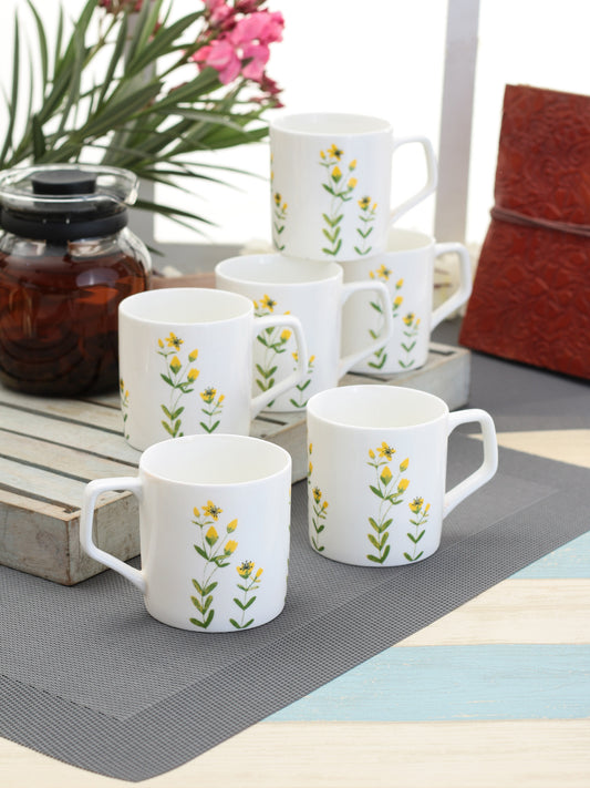 Director Imperial Coffee & Tea Mugs, 200ml, Set of 6, Green